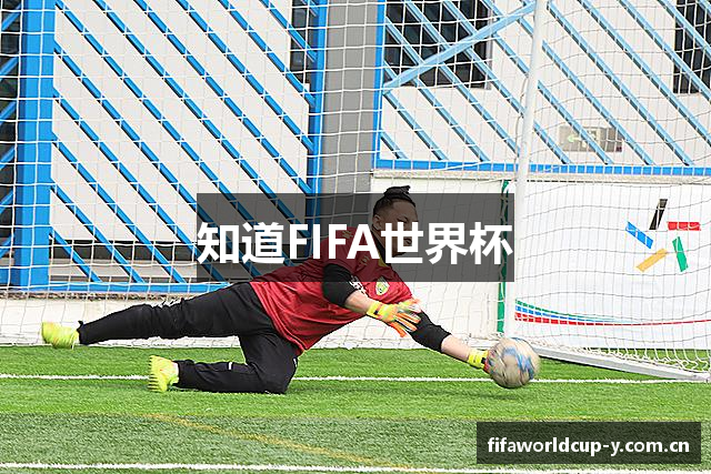 知道FIFA世界杯